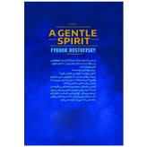 کتاب نازنین اثر داستایفسکی نشر آذربیان