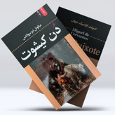 کتاب دن کیشوت اثر میگل دسروانتس نشر ضامن آهو