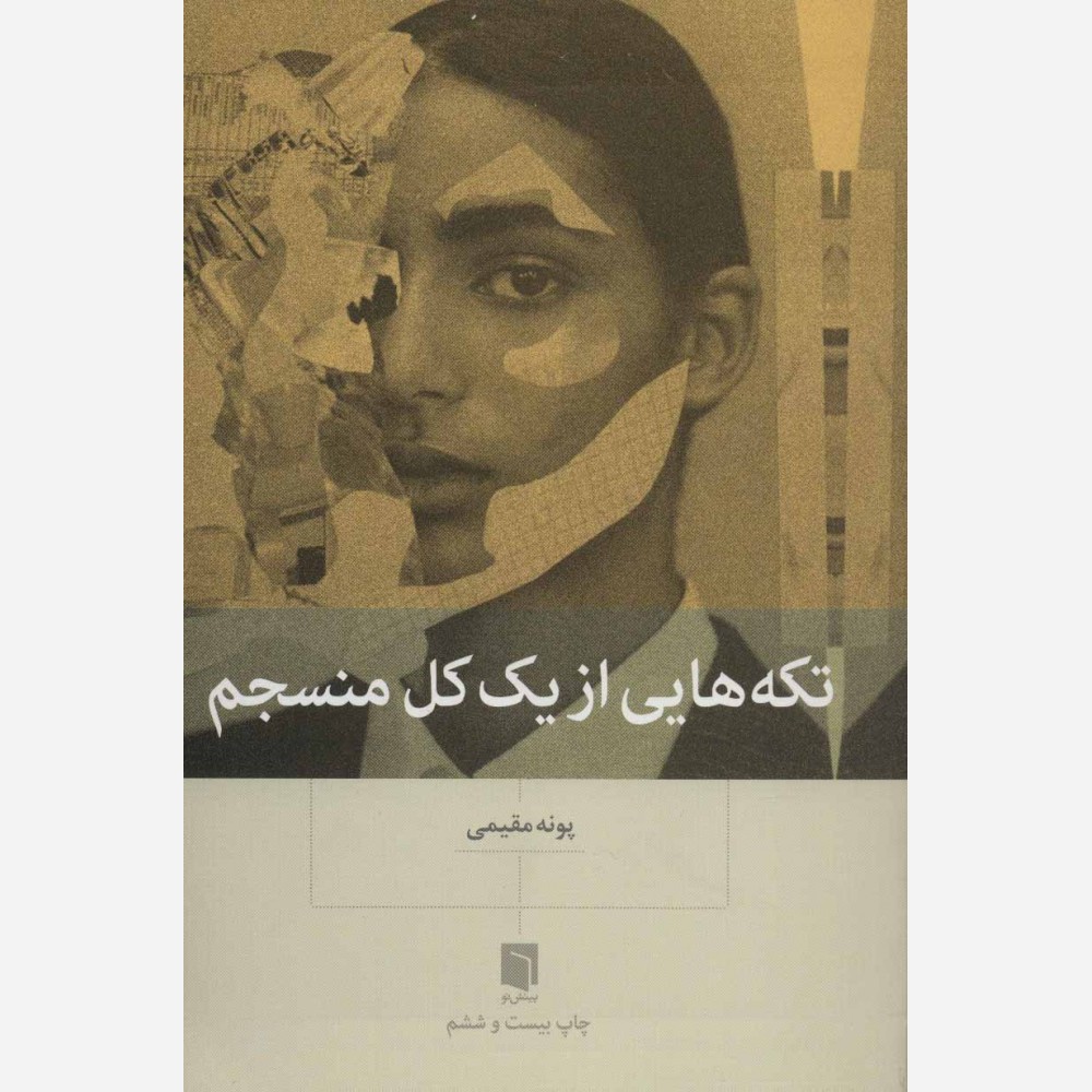 کتاب تکه هایی از یک کل منسجم نشر بینش نو