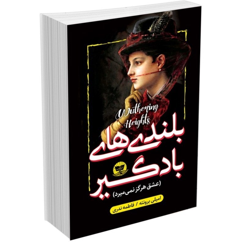 کتاب بلندی های بادگیر اثر امیلی برونته نشر ندای معاصر
