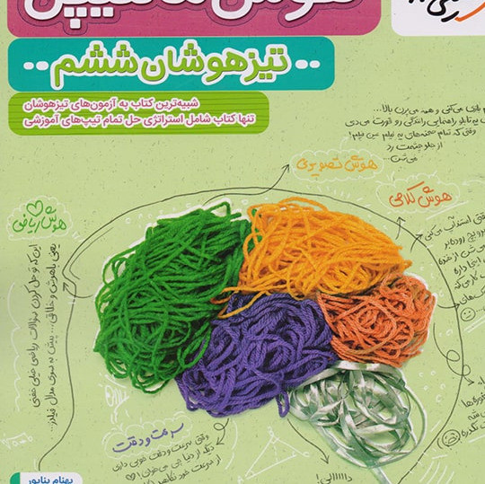 کتاب هوش مالتیپل ششم خیلی سبز 1405